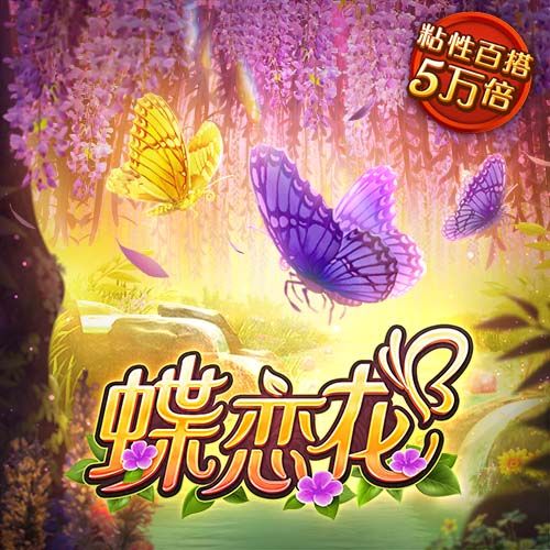 斑鸠哥是什么梗